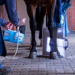 Eine Röntgenuntersuchung bei einem Pferd in der Tierarztpraxis Paeger